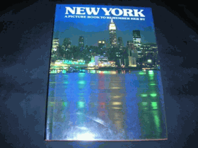 New York - A Picture Book To Remember Her By