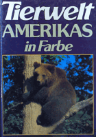 Tierwelt Amerikas in Farbe