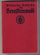 Im Bernsteinwald