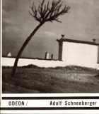 Adolf Schneeberger - monografie s ukázkami z fot. díla
