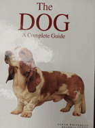The Dog - A Complete Guide