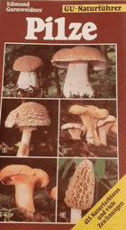 Pilze GU-Naturführer
