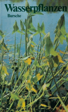 Wasserpflanzen - Kleine Botanik der Wassergewächge