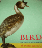Birds of Heath and Marshland