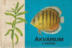 Akvárium v kocke