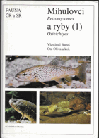 Mihulovci Petromyzontes a ryby Osteichthyes. 1