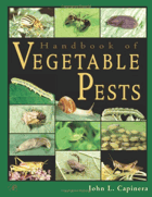 Handbook of vegetable pests