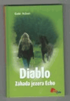 Diablo, Záhada jezera Echo