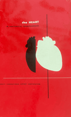 The Heart in Anatomical Transparencies