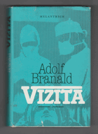 Vizita