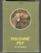 Poľovné psy vo fotografii LISTY V KARTONU
