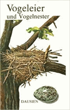 Vogeleier und Vogelnester