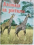 Animals in pictures
