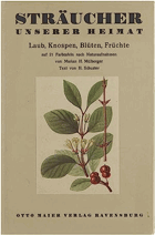 Sträucher unserer Heimat - Laub, Knospen, Blüten, Früchte Mülberger, Marian H.