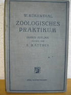 Leitfaden für das Zoologische Praktikum Kükenthal Ernst Matthes, Willy. Jena Fischer Verlag
