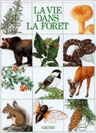 La Vie dans la forêt-barevné ilustrace!!