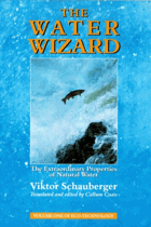 The Water Wizard