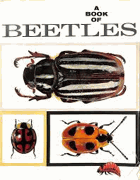 A Book Of Beetles PODPIS AUTORA + ILUSTRÁTORA!!