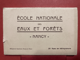École nationale des eaux et forêts Nancy PORTFOLIO