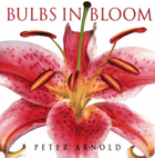 Bulbs in bloom - bulbs, corms, tubers, rhizomes, and tuberous roots
