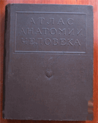 Атлас анатомии человека - том 4. Учение о сосудах