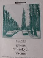Galerie brněnských stromů Brno Brünn
