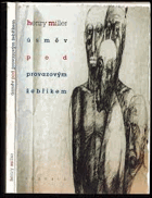 Úsměv pod provazovým žebříkem