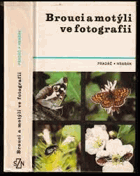 Brouci a motýli ve fotografii Hmyz