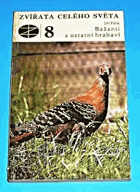 Obálka
