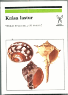 Krása lastur