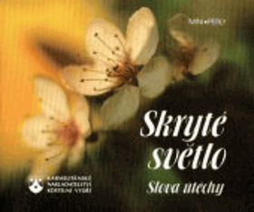 Skryté světlo - slova útěchy