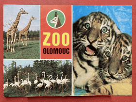 ZOO Olomouc