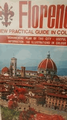 Florence New Practical Guide in Colour