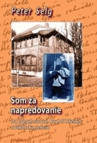 Som za napredovanie - Ita Wegmanová, Rudolf Steiner a lekárska sekcia