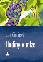 Hodiny v mlze