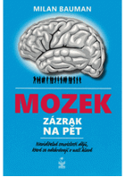 MOZEK zázrak na pět - neviditelné souvislosti dějů, které se odehrávají v naší hlavě