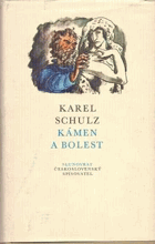 Kámen a bolest - román o Michelangelovi Buonarroti. Michelangelo Buonarroti