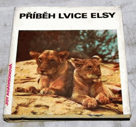 Příběh lvice Elsy ELSA