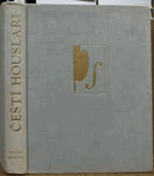 Čeští houslaři-Housle
