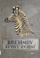 Obálka