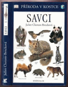 SAVCI
