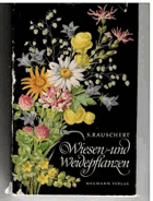 Wiesen Und Weidepflanzen