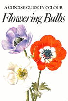 Flowering bulbs