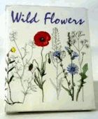 Wild flowers