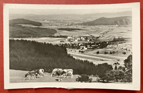 ŠUMAVA fotomont?kravičky Pohled Pohlednice