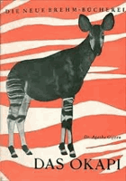 Das Okapi