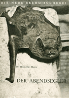 Der Abendsegler