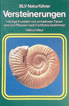 Versteinerungen Häufige Fossilien von wirbellosen Tieren u. Pflanzen nach Farbfotos bestimmen. BLV ...