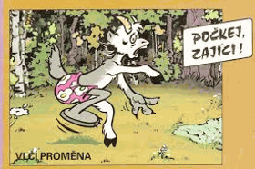 VLČÍ PROMĚNA Počkej zajíci! Edice Hvězdička