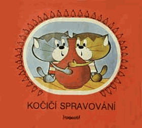Kočičí spravování PANORAMA